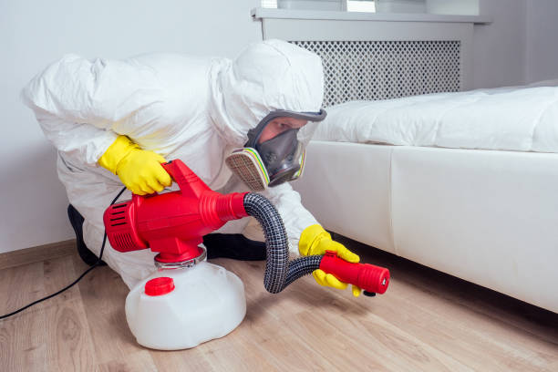 Best Pest Control Near Me  in Meadow Woods, FL