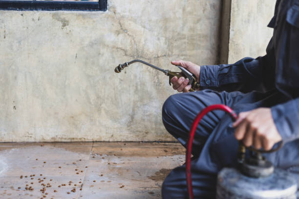 Best Pest Removal Services  in Meadow Woods, FL
